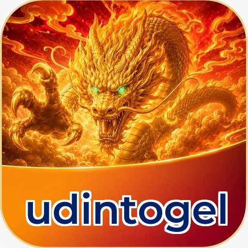 User Reviews